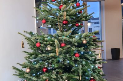 Weihnachtsbaum